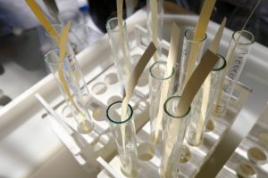 „Ze słodką nutą estrów” – chemiczne eksperymenty zapachowe w Akademii Młodych Przyrodników