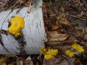 Nad Jeziorem Drążynek – po wyprawie 01.10.2023