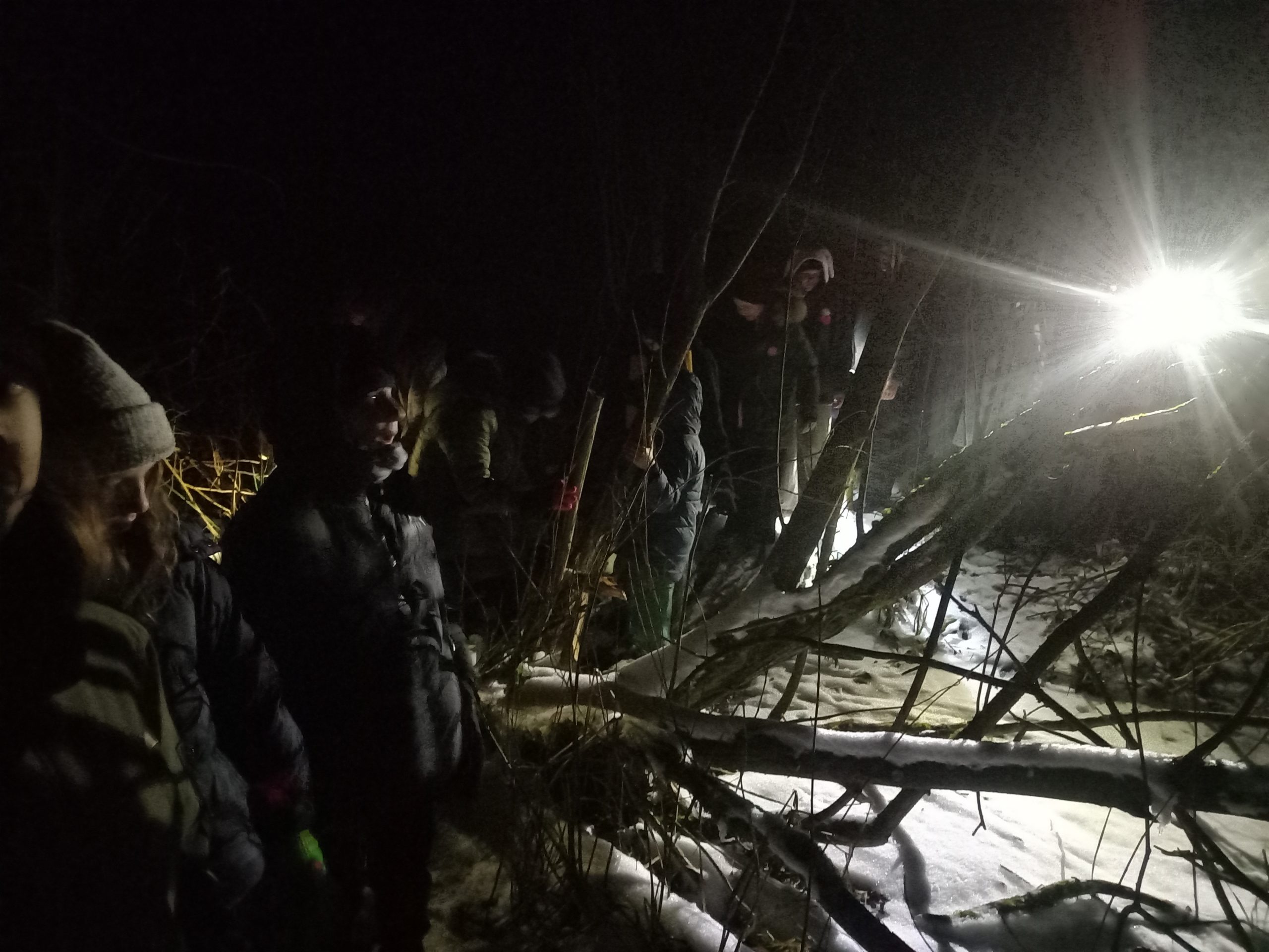 Nocne słuchanie bagien – Akademia Młodych Przyrodników 2025.02.21