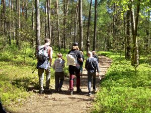 Puszcza Kampinoska, wizyta w Ambasadzie Finlandii – Akademia Młodych Przyrodników 2025.04.28