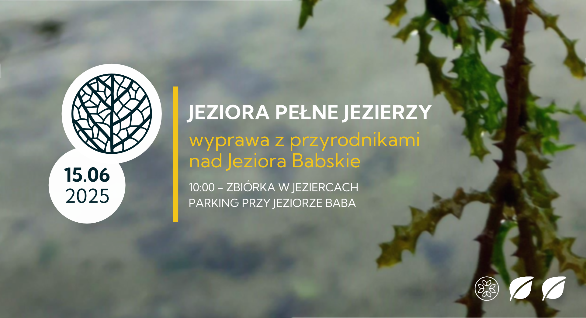 Jeziora pełne jezierzy. Wyprawa z przyrodnikami nad Jeziora Babskie | WAGOWO | 15.06.2025 | wyprawa z przyrodnikami