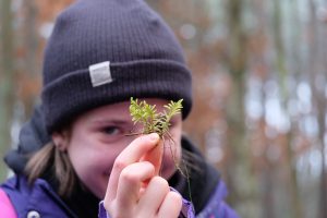 Torfowiska Puszczy Zielonki. Zajęcia terenowe – Akademia Młodych Przyrodników 2024.12.28