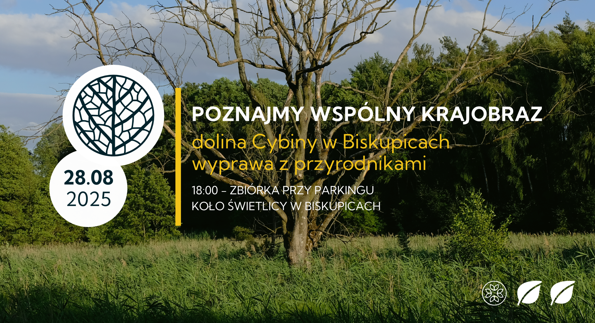 Poznajmy wspólny krajobraz. Dolina Cybiny | BISKUPICE | 28.08.2025 | wyprawa z przyrodnikami