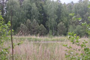 Jezioro Modre w Odrzykożuchu