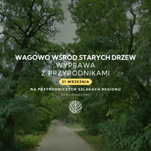 Poznajmy wspólny krajobraz. Wśród starych drzew | WAGOWO | 21.09.2025 | wyprawa z przyrodnikami