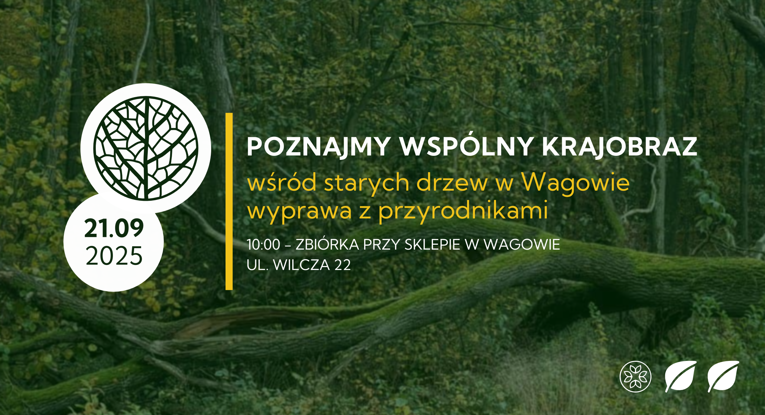 Poznajmy wspólny krajobraz. Wśród starych drzew | WAGOWO | 21.09.2025 | wyprawa z przyrodnikami