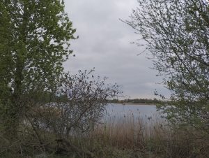Jezioro Gorzuchowskie w Gorzuchowie
