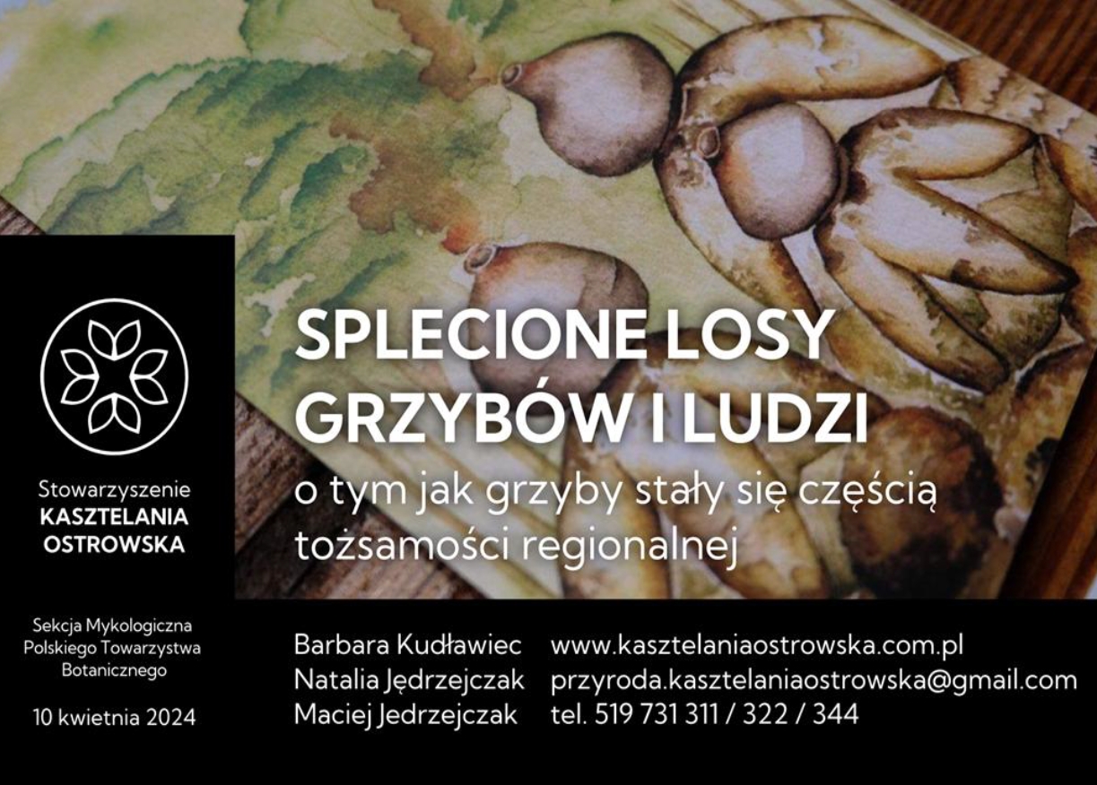 Prezentacja na spotkaniu Polskiego Towarzystwa Botanicznego – Sekcji Mykologicznej w Poznaniu