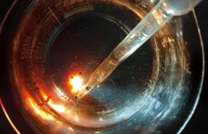 Legendarne i mityczne organizmy w Polsce | POBIEDZISKA | 06.02.2026 | Akademia Młodych Przyrodników