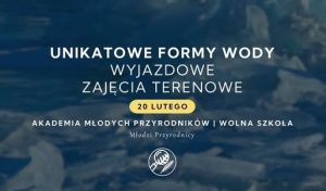 Unikatowe formy wody | MIKOSZEWO | 20.02.2026 | Akademia Młodych Przyrodników