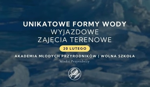 Unikatowe formy wody | MIKOSZEWO | 20.02.2026 | Akademia Młodych Przyrodników