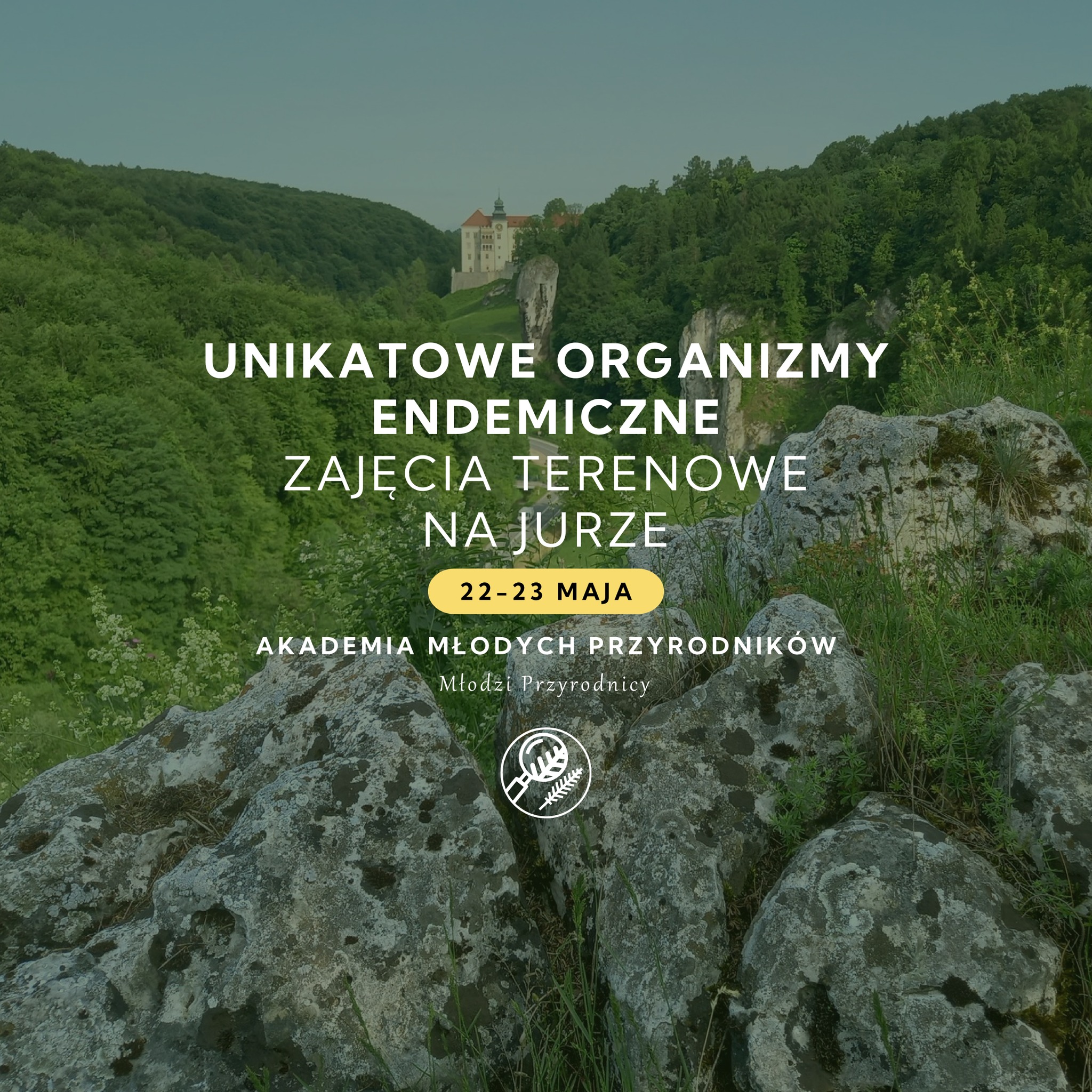 Unikatowe organizmy endemiczne | Jura | 22-23.05.2026 | Akademia Młodych Przyrodników