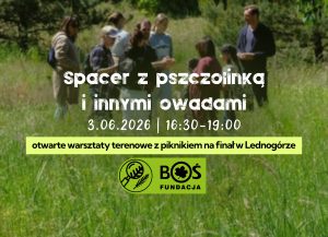 Spacer z pszczolinką i innymi owadami | LEDNOGÓRA | 3.06.2026 | Akademia Młodych Przyrodników