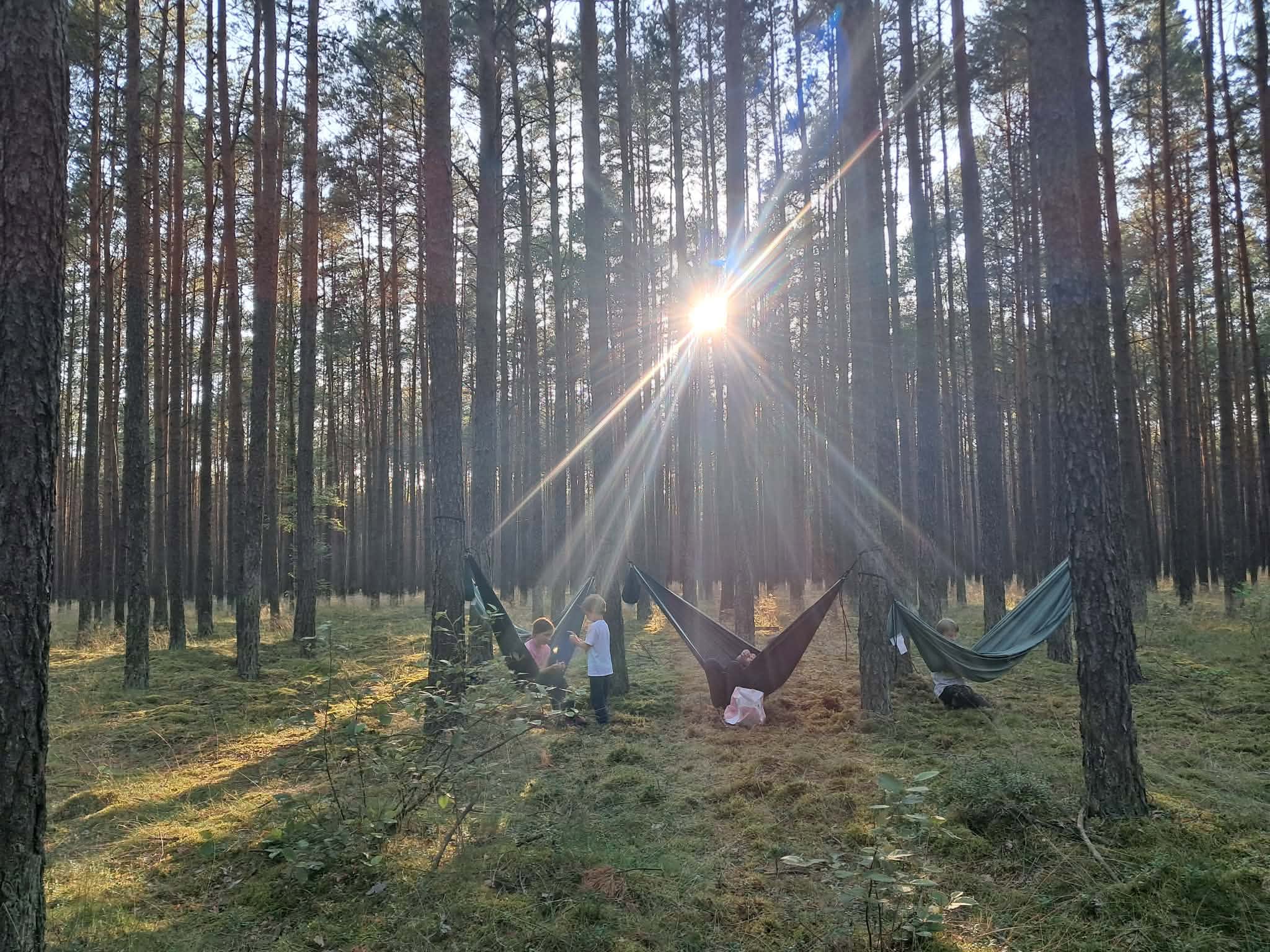 Zakończenie Projektu| Bory Tucholskie | 04.07.2026 | Akademia Młodych Przyrodników