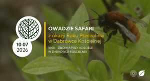 Owadzie safari z okazji Roku Pszczolinki | DĄBRÓWKA KOŚCIELNA | 10.07.2026 | Wędrówki na szlakach regionu