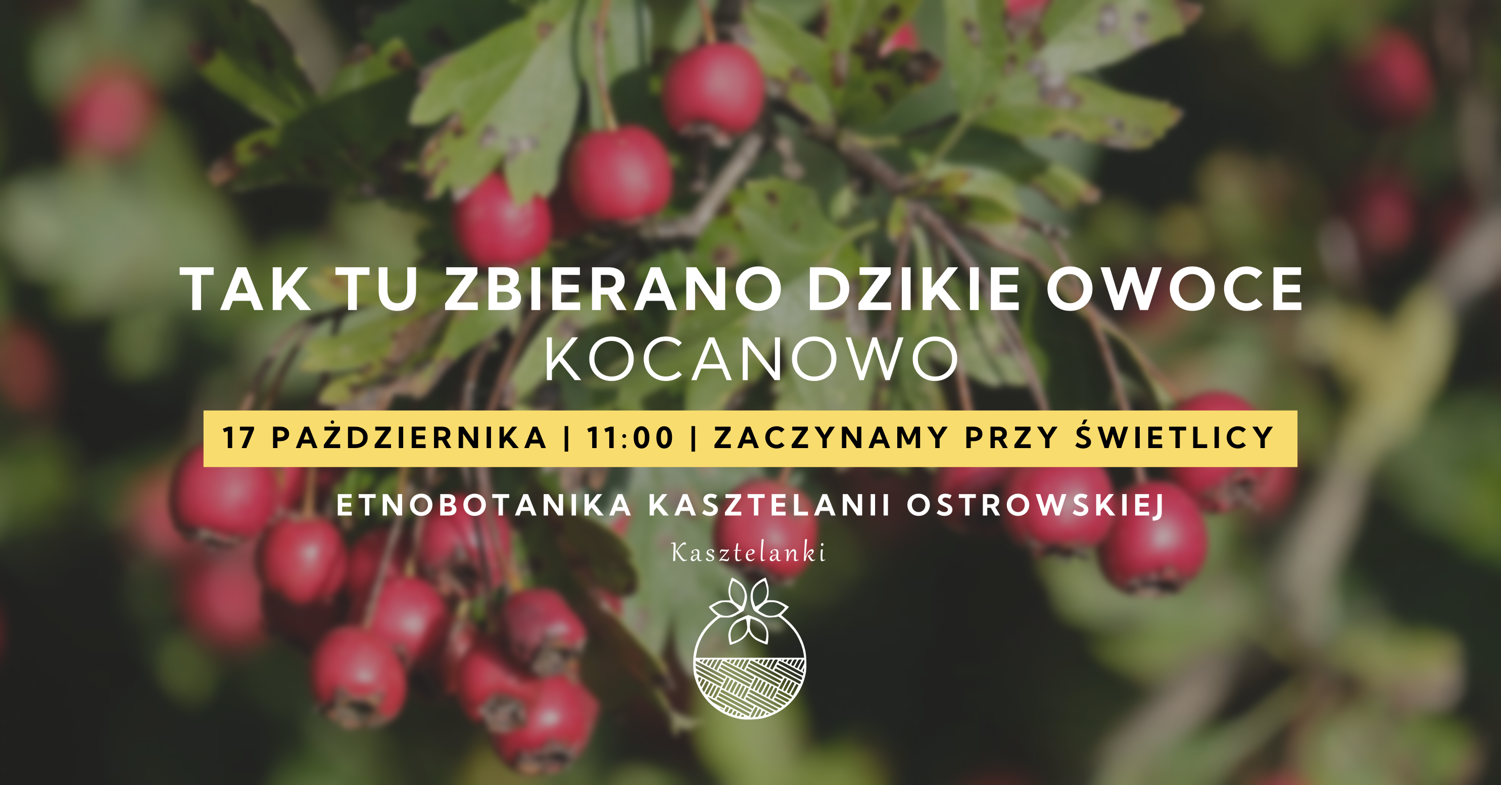 Tak tu zbierano dzikie korzenie | KOCANOWO | 17.10.2026 | Etnobotanika Kasztelanii Ostrowskiej