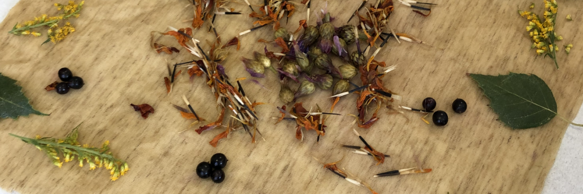 Снимок экрана 2021-09-10 в 21.31.28