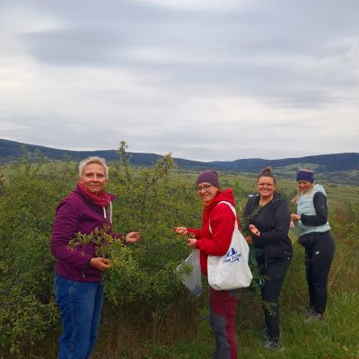 Zielarki w akcji