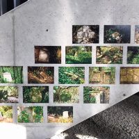 299408149_770369924289275_1789004386623371034_n